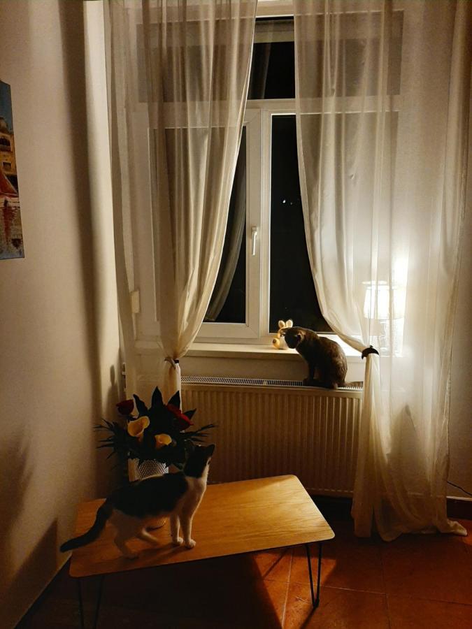 Piccola Italia Casa Racovita 克卢日-纳波卡 外观 照片